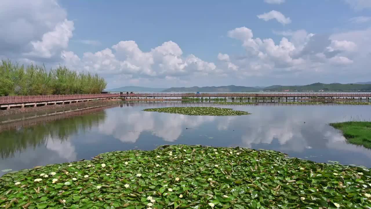 云南省红河州石屏县异龙湖风光视频素材