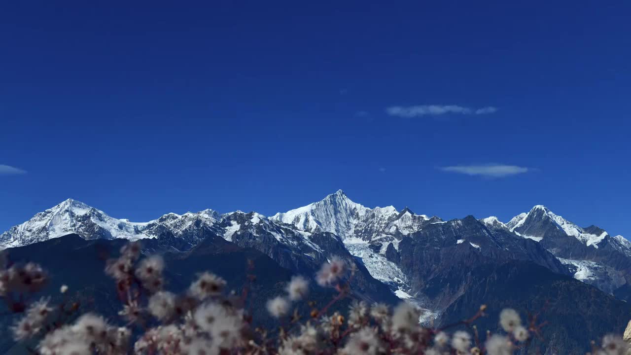 梅里雪山 绒花 蓝天白云 延时视频下载