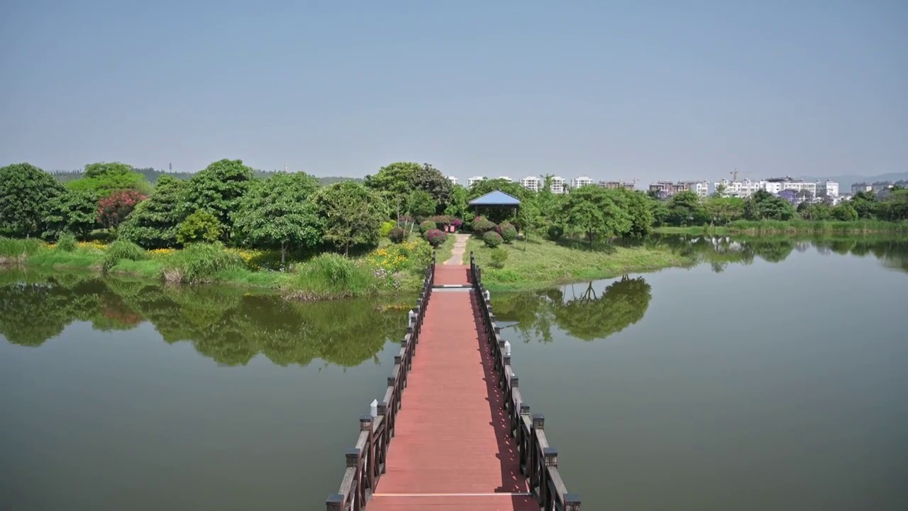 云南省红河州石屏县异龙湖湿地一角视频素材