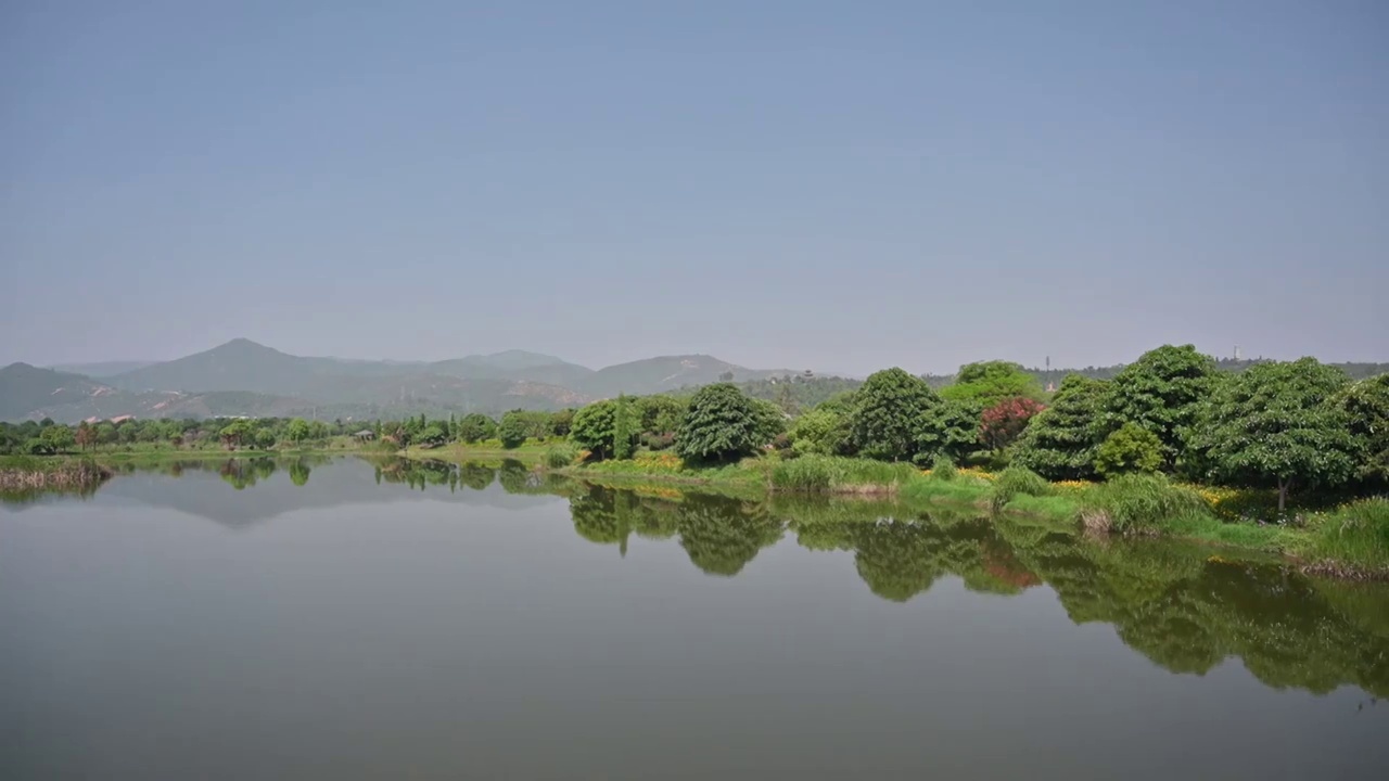 云南省红河州石屏县异龙湖湿地一角视频素材