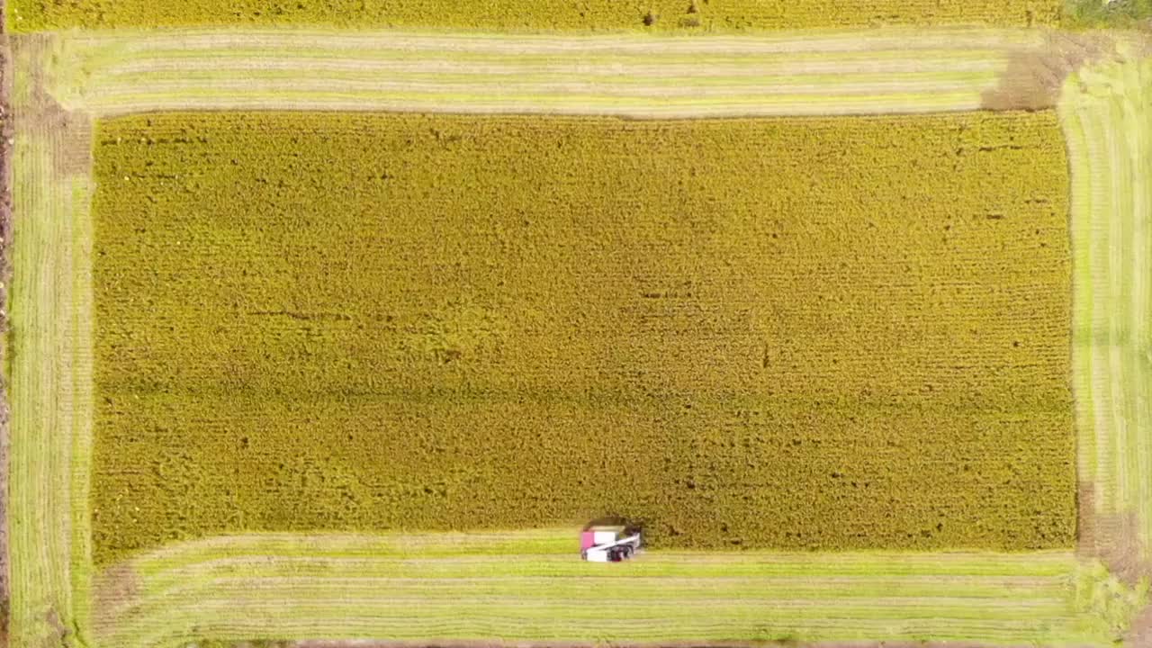 航拍黄河秋收大米视频下载