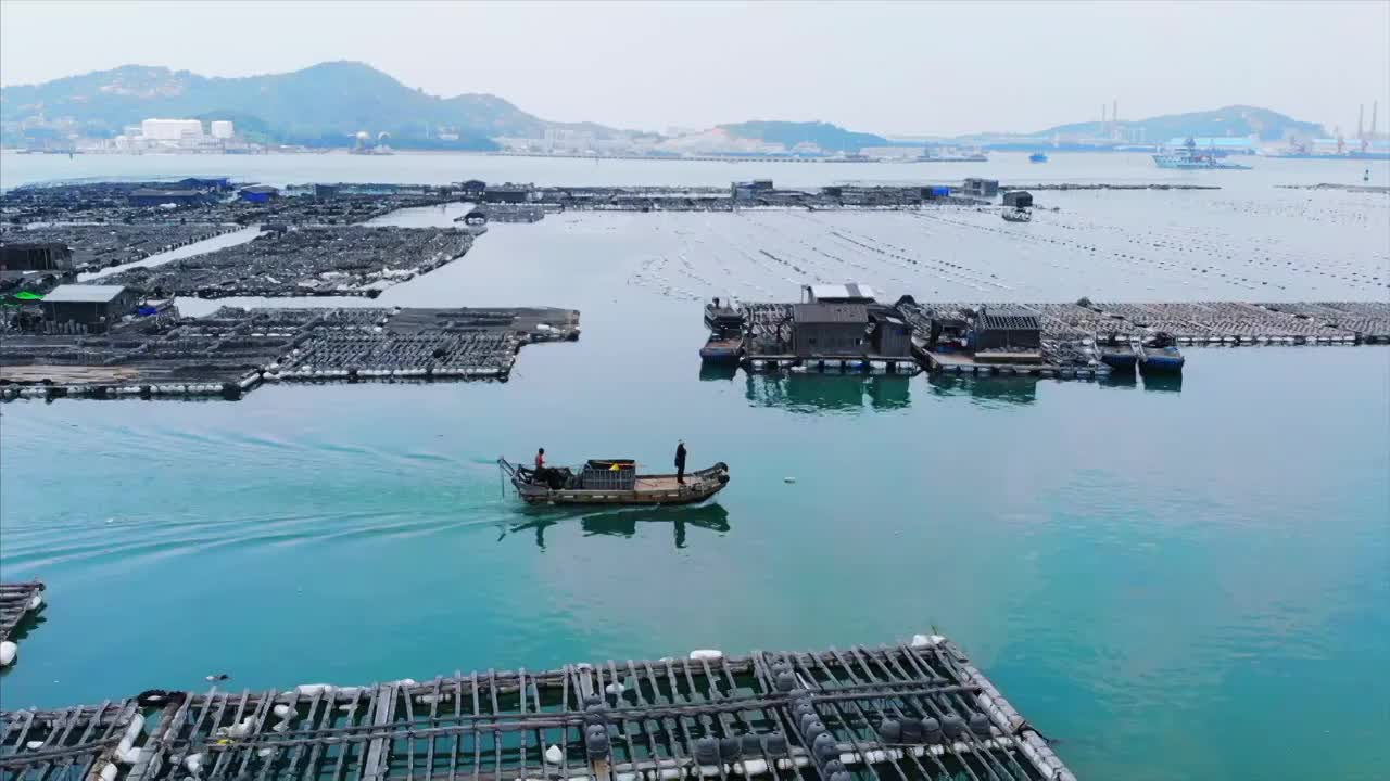 航拍福建东山岛海洋鲍鱼养殖基地视频素材