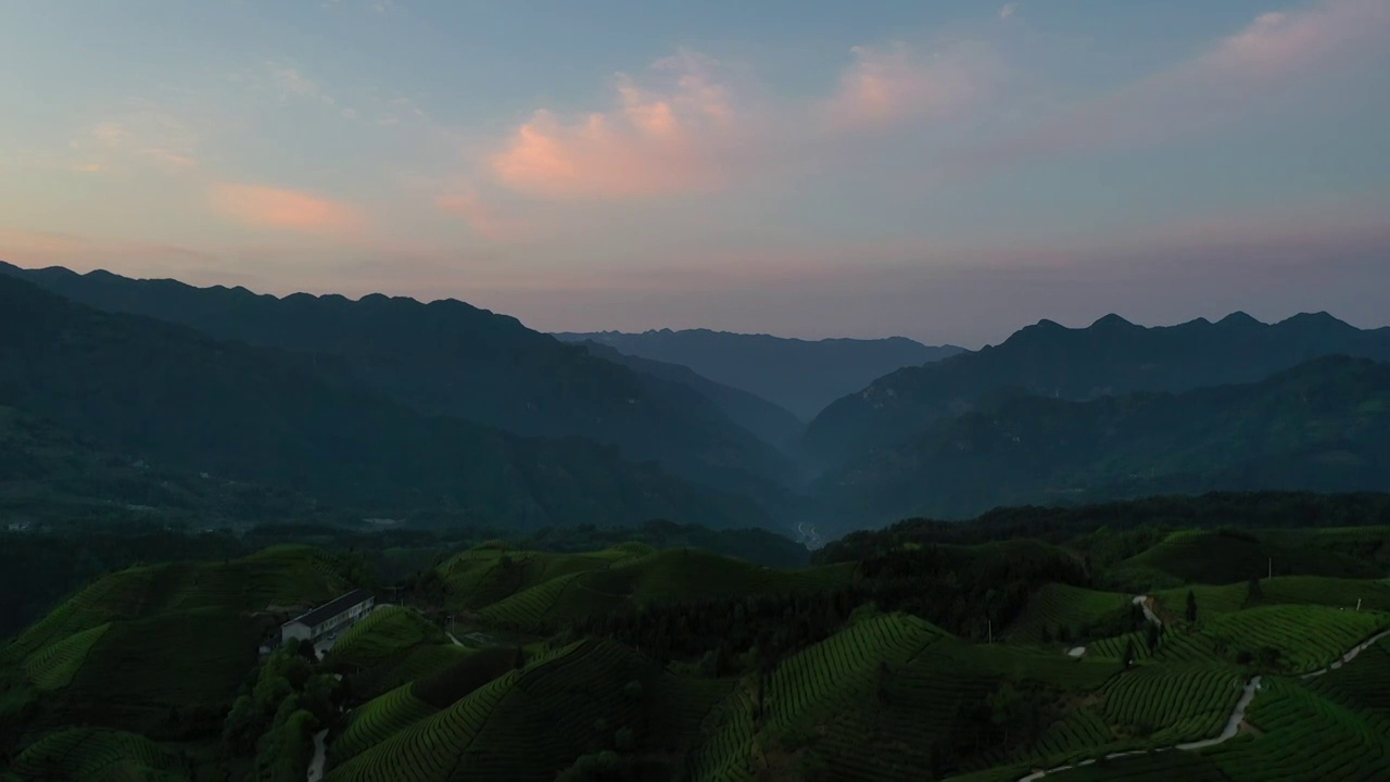 湖北鹤峰木耳山茶园清晨风光视频素材