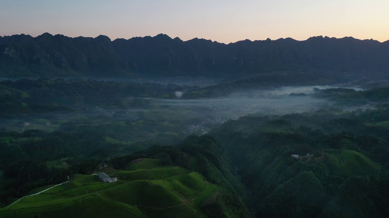 湖北鹤峰木耳山茶园清晨风光视频素材