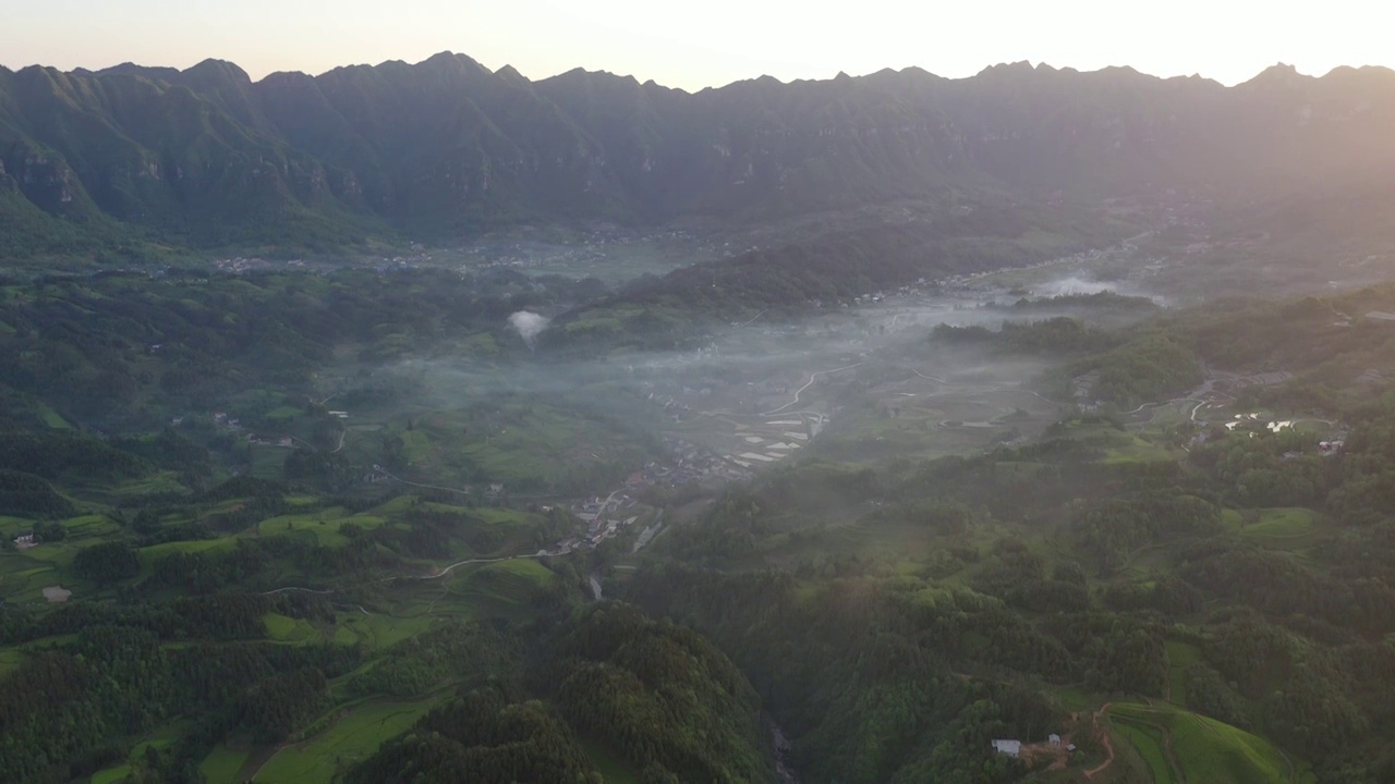 湖北鹤峰木耳山茶园清晨风光视频素材