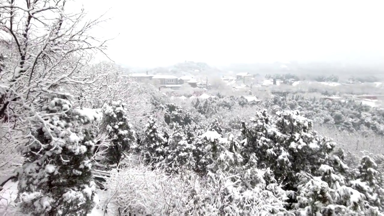 一个下雪天的景山公园视频素材