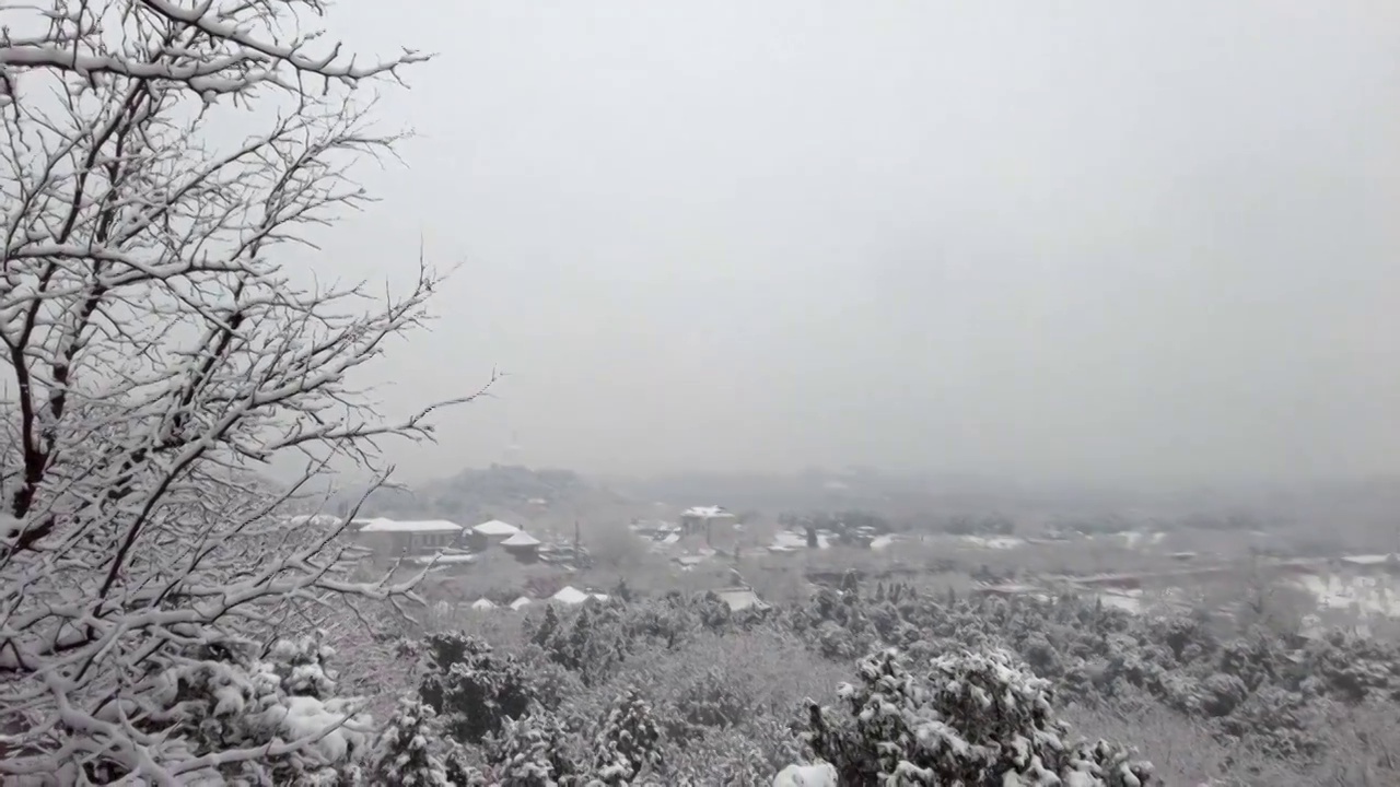 一个下雪天的景山公园视频素材