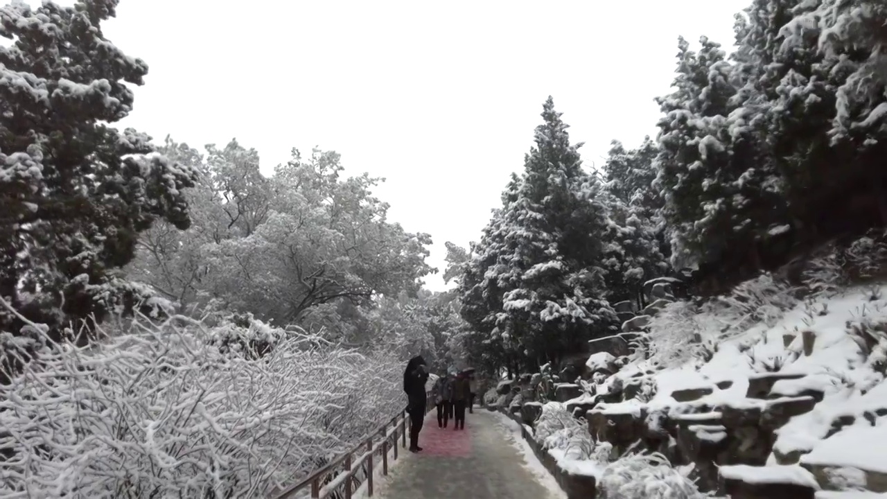 一个下雪天的景山公园视频素材