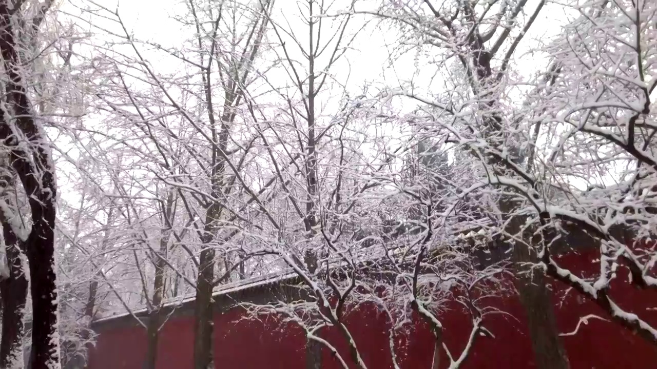 一个下雪天的景山公园视频素材