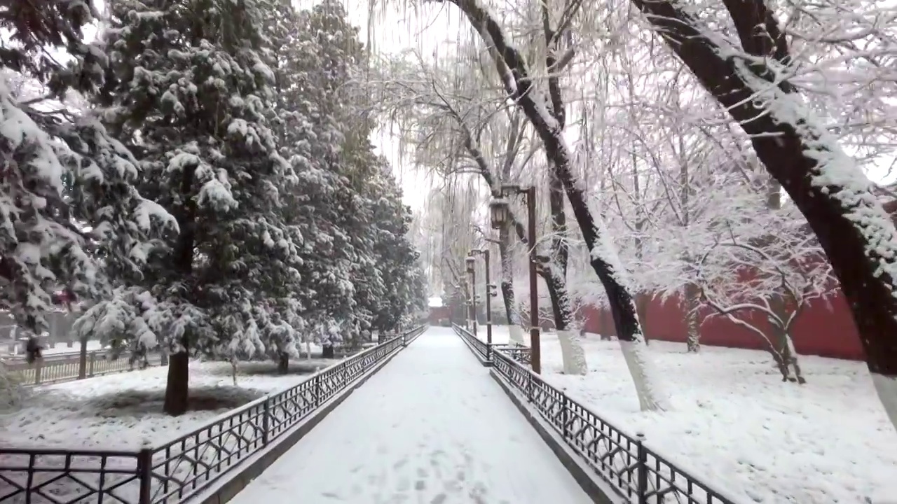 一个下雪天的景山公园视频素材