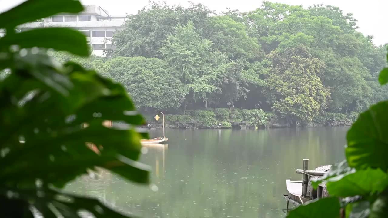 雨天桂林榕湖公园湖面上行驶的竹筏视频素材