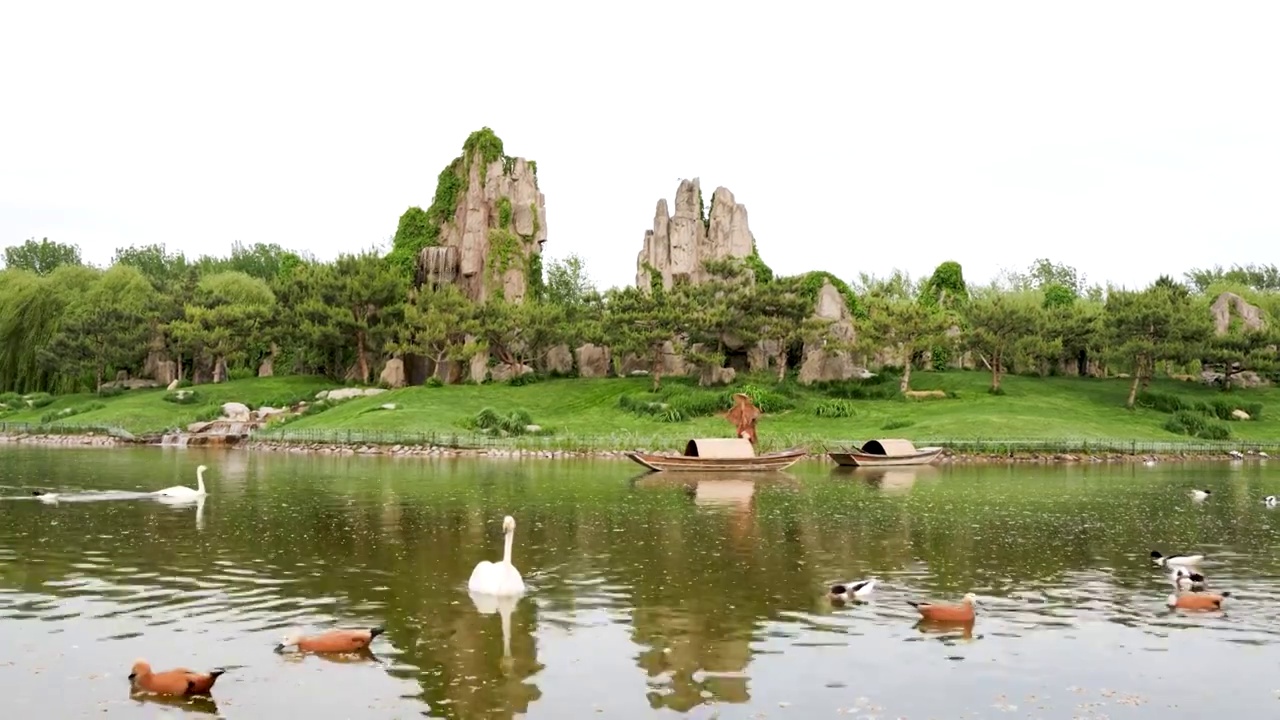 山水场景北京野生动物园视频素材