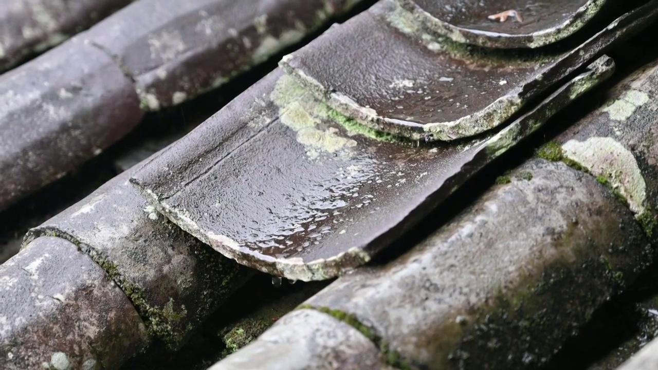 雨天的瓦片视频素材