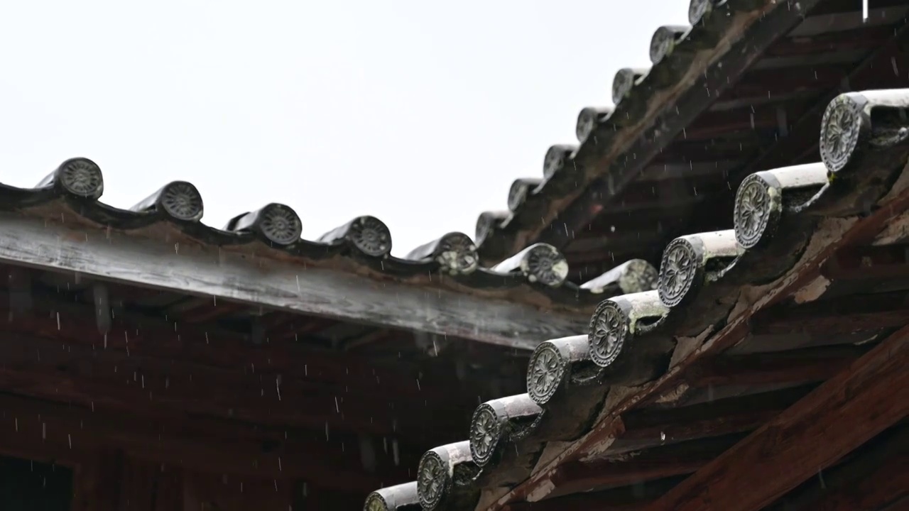 雨天的瓦当视频素材