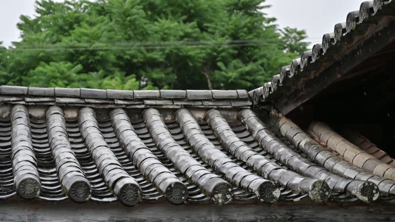 雨天的瓦当视频素材