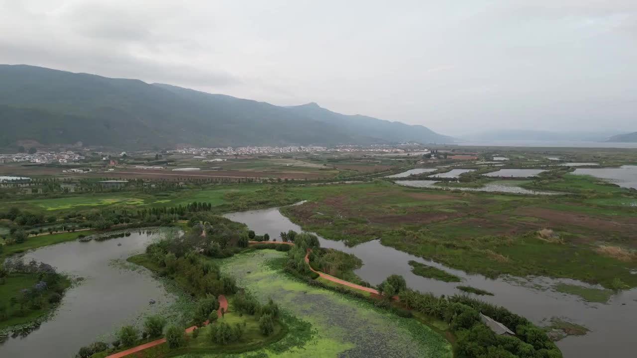 云南省红河州石屏县异龙湖湿地风光视频素材