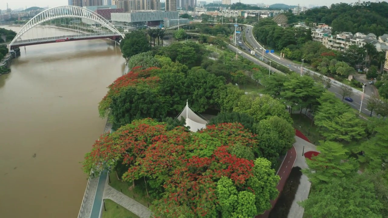 航拍 城市天际线 桥梁 河流 建筑 街道  实时 视频 /广东 江门视频素材