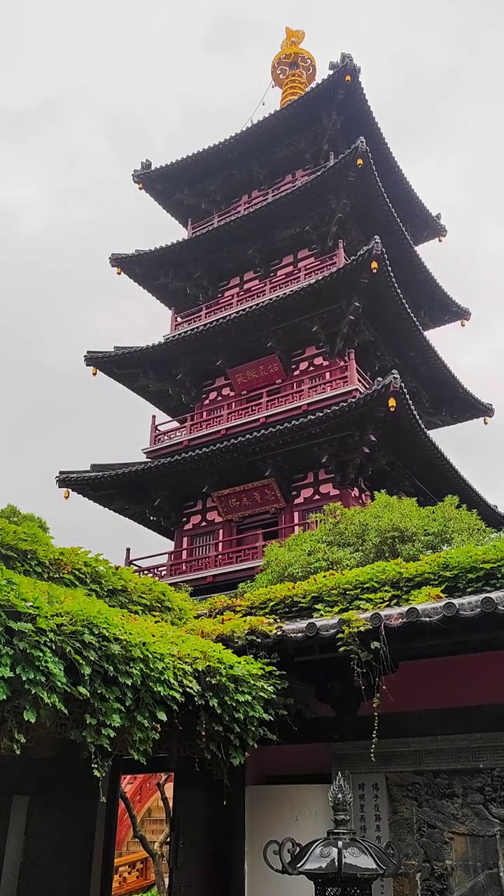 江苏苏州雨中寒山寺普明宝塔视频素材