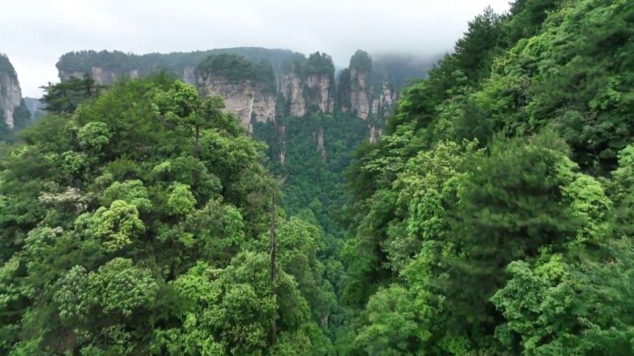 航拍张家港界天子山云海视频素材