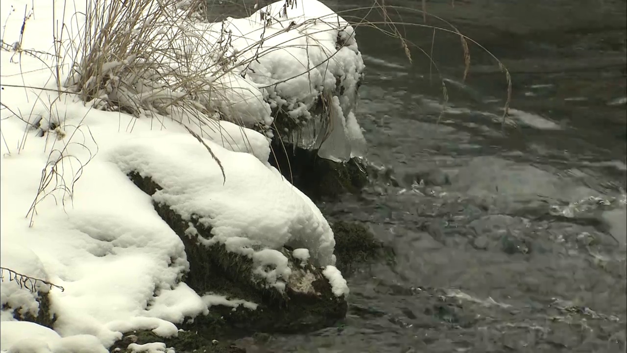 四川九寨沟雪景流动的溪水岸边积雪固定机位视频素材