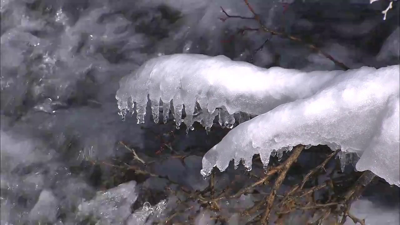 四川九寨沟雪景流动溪水植物枝头上的冰柱固定机位视频素材