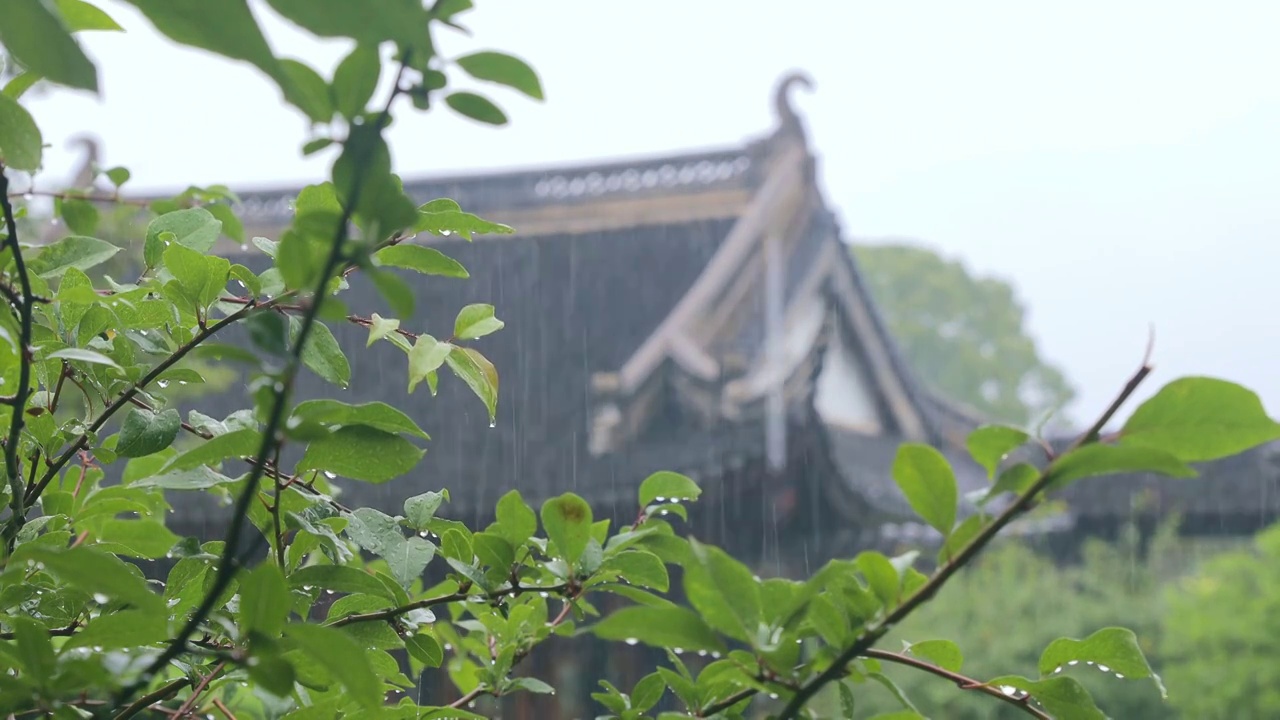 雨天里的苏州视频素材画面3