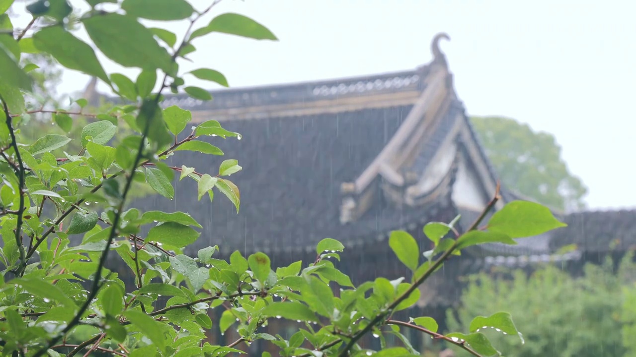 雨天里的苏州视频素材画面1