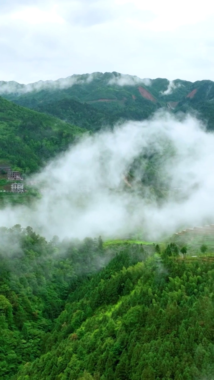 竖屏航拍桂林龙脊梯田水田风光（合集）视频素材