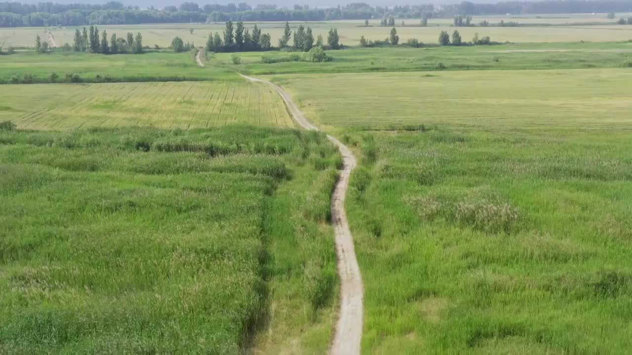 黄河湿地麦田视频素材