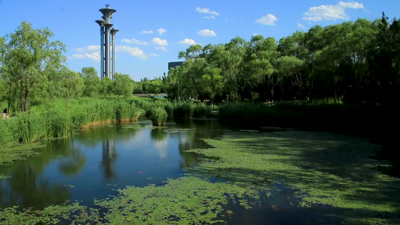 北京立夏奥森公园景象视频素材