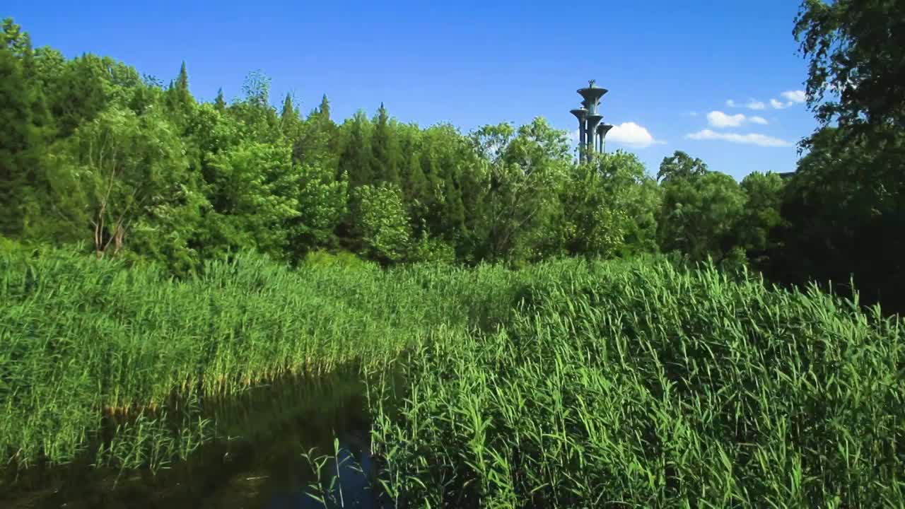 北京立夏奥森公园景象视频素材