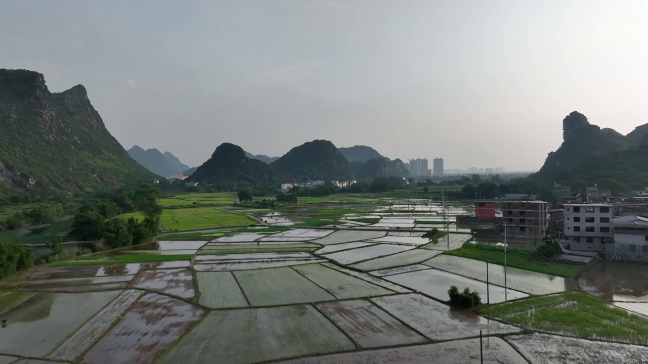 傍晚夕阳下山谷中的村庄和插秧的稻田视频素材