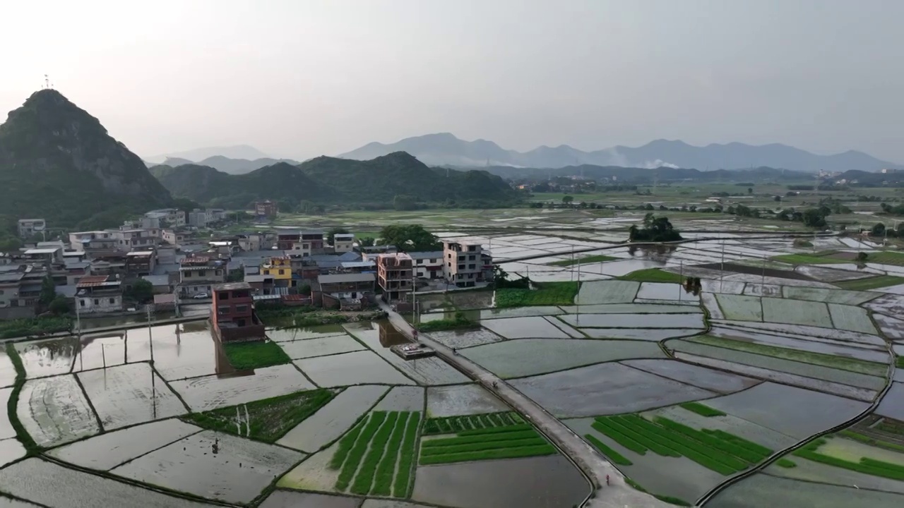 傍晚夕阳下山谷中的村庄和插秧的稻田视频素材