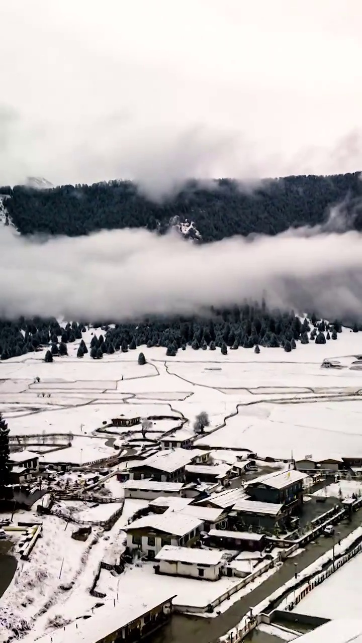 竖屏延时航拍林芝鲁朗林海雪景（合集）视频素材