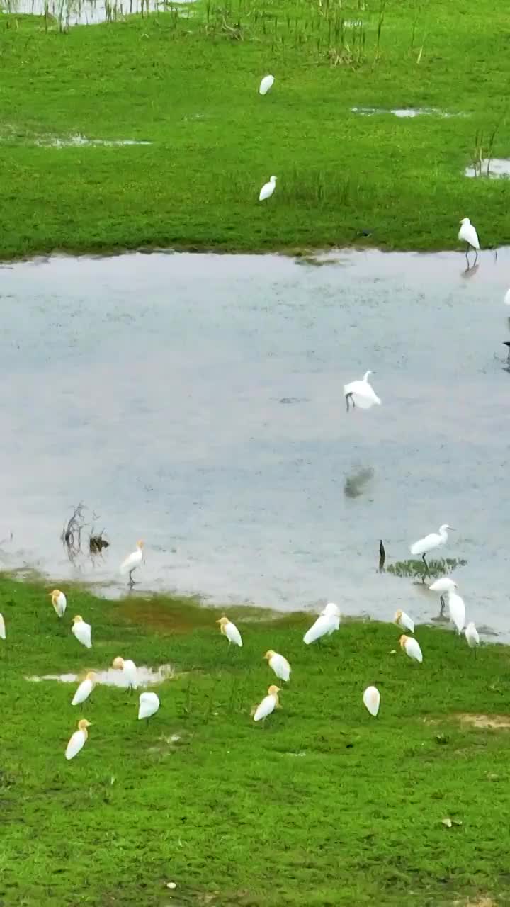 竖屏航拍福建福州视频素材