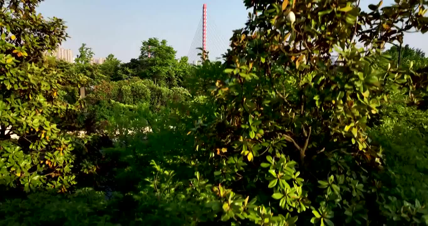 航拍杭州钱江新城城市风景视频素材