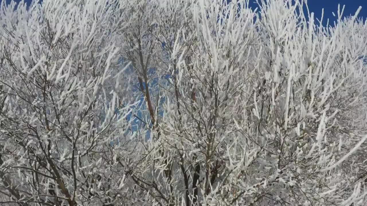 冬天晴朗天气下吉林雾凇美景视频素材