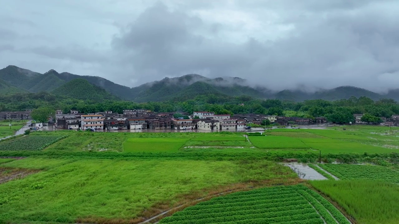 山中小乡村雨中漫步的两人视频素材