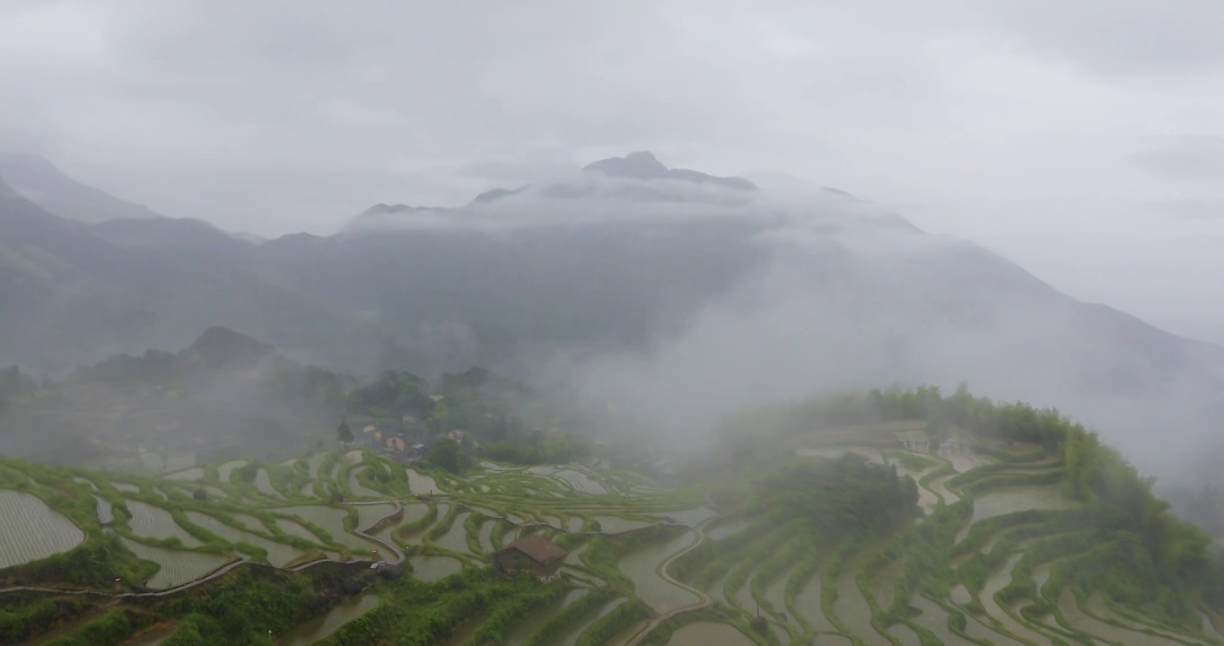 浙江丽水云和高山梯田稻田烟雨朦胧风光视频素材