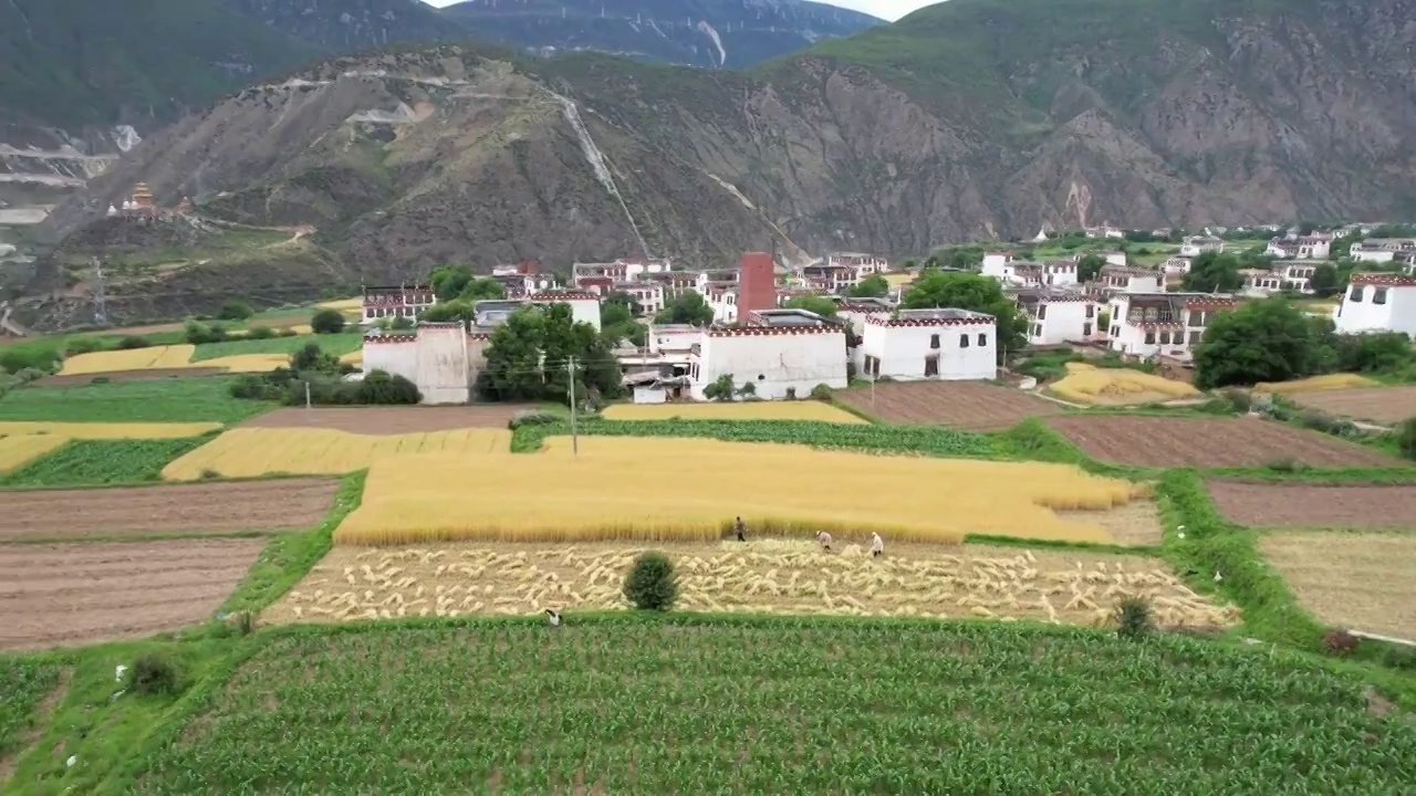 航拍四川川西甘孜州乡城县田园风光，初夏的青稞田白藏房和山谷自然风光。视频素材