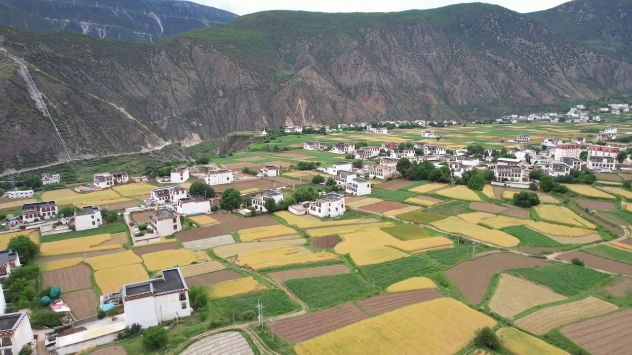 航拍四川川西甘孜州乡城县田园风光，初夏的青稞田白藏房和山谷自然风光。视频素材