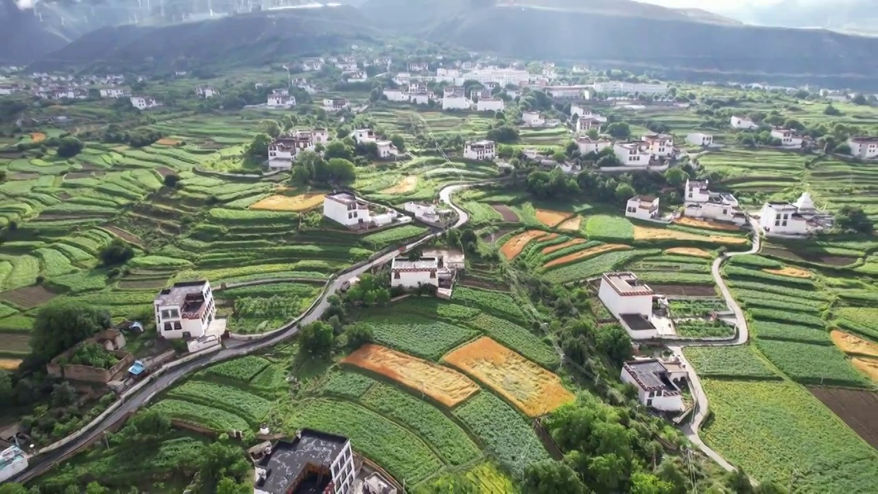 航拍四川川西甘孜州乡城县田园风光，初夏的青稞田白藏房和山谷自然风光。视频素材