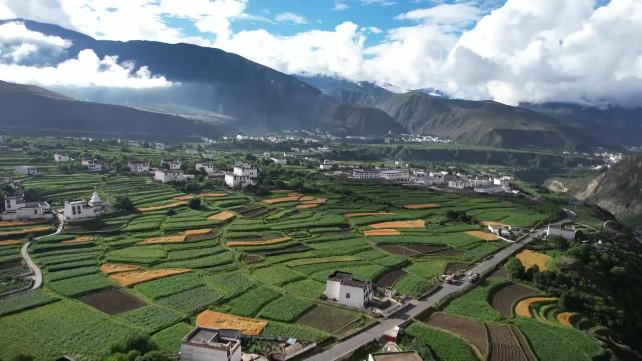 航拍四川川西甘孜州乡城县田园风光，初夏的青稞田白藏房和山谷自然风光。视频素材