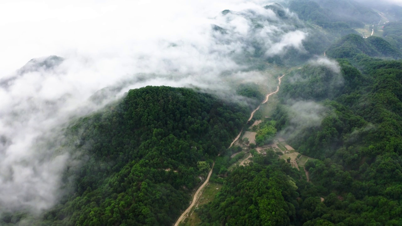 河南省洛阳市嵩县伏牛山区雨天云海视频素材