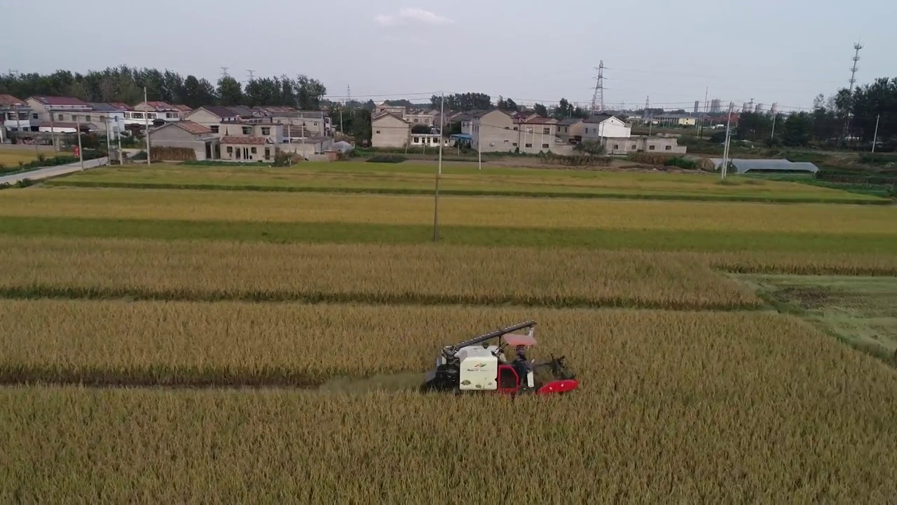 江苏省淮安市农村秋收的场景视频素材