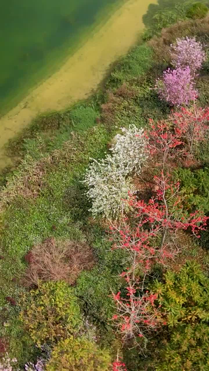 高清航拍广西南宁城市素材视频素材