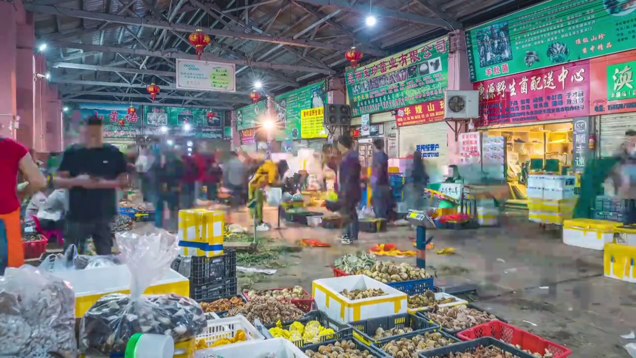 凌晨时的云南木水花野生菌交易市场视频素材