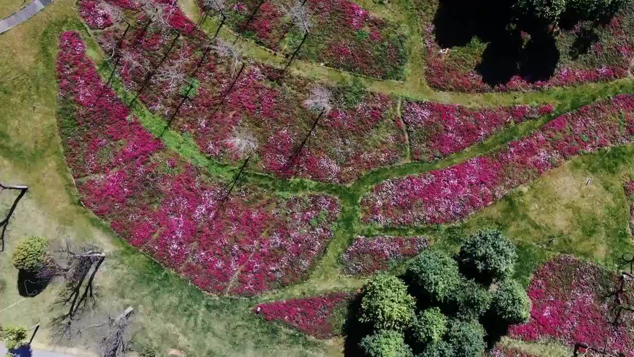 弥勒太平湖视频素材