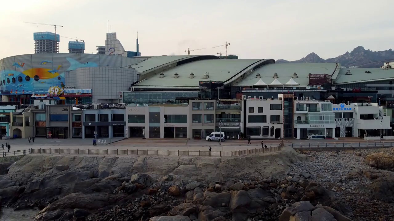 青岛燕儿岛海岸线｜海景别墅左侧飞｜海鸥群视频素材