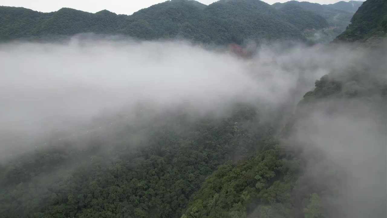 山区雨后升腾的云雾视频下载